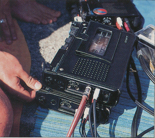 TC-D5 3.jpg