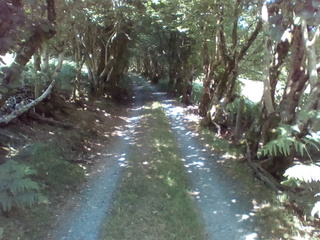 path.jpg