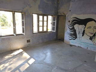 room1.jpg